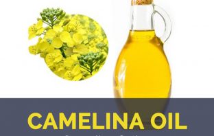 Camelina oil facts and health benefits