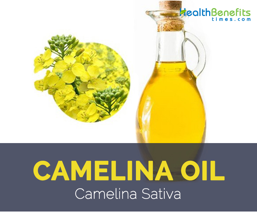 Camelina oil facts and health benefits