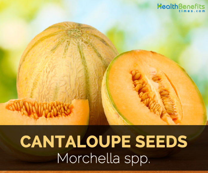 Cantaloupe seeds Facts and Health Benefits