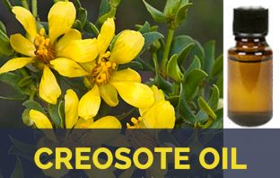 Creosote Oil facts and benefits