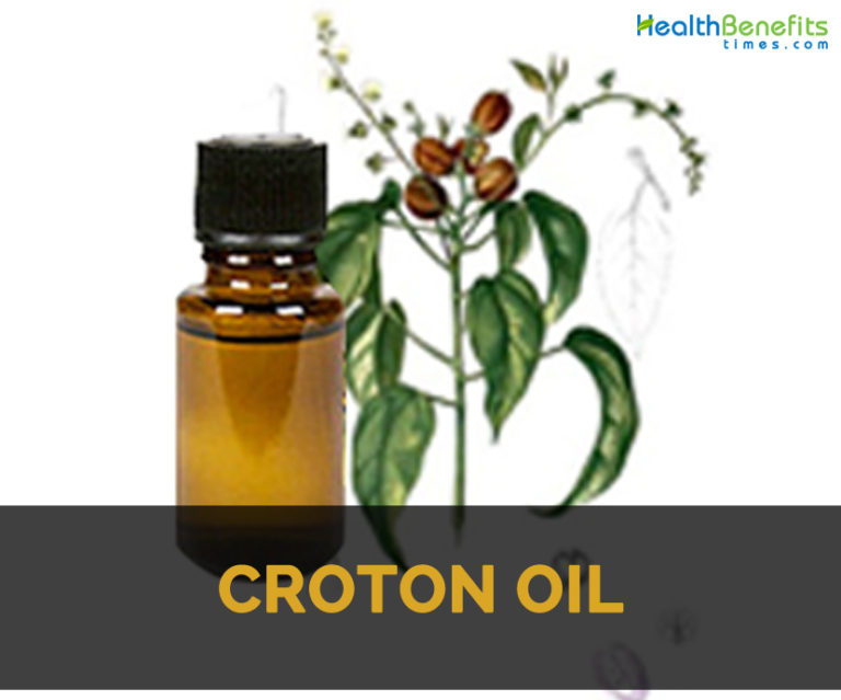 Croton oil Facts and Health Benefits