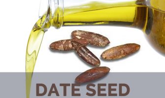 Date seed uses and benefits