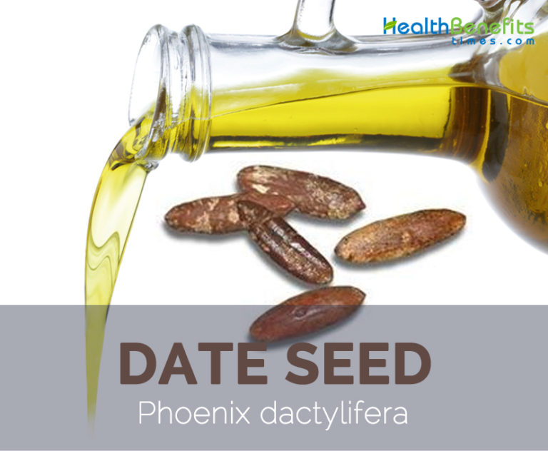 Date seed facts and health benefits