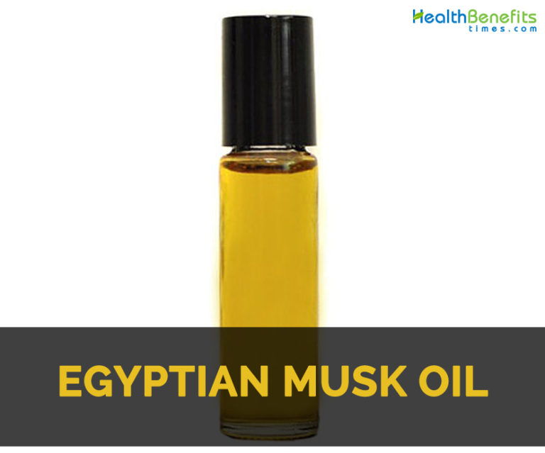 Egyptian musk oil Facts and Health Benefits