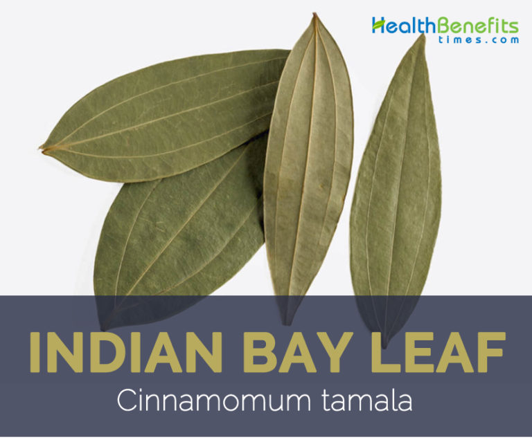 Indian Bayleaf facts and health benefits