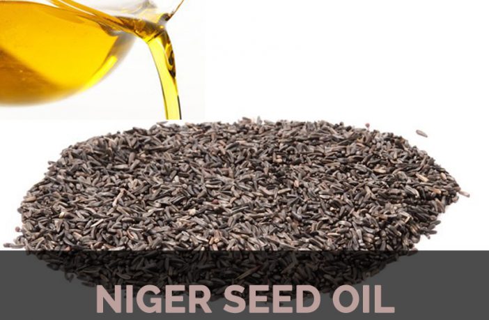 Niger Seed Oil Facts And Health Benefits,Simonton Windows Reviews 2019