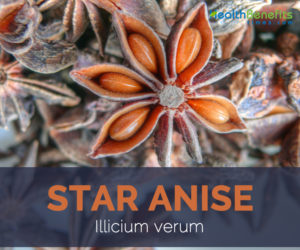 Star anise facts and benefits