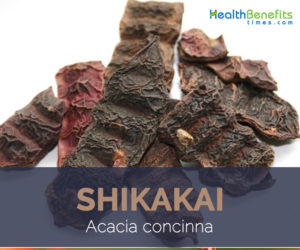 Uses and benefits of Shikakai