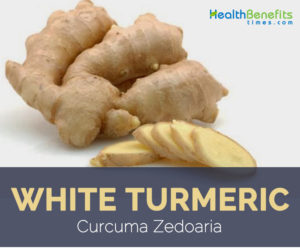 White turmeric facts and health benefits