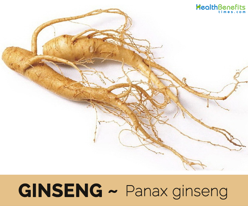 Ginseng-Facts-and-health-benefits