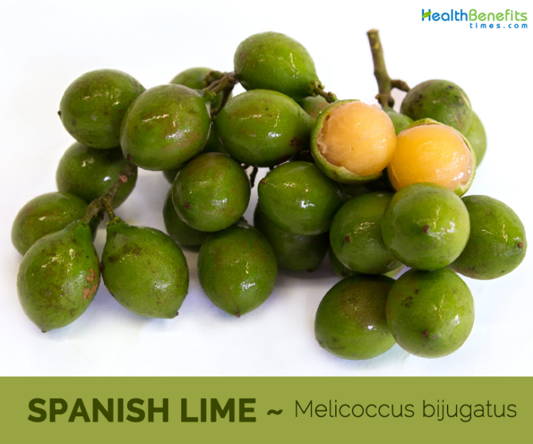 Spanish lime facts and health benefits