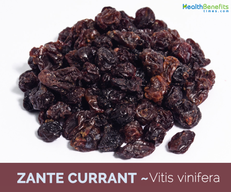 Zante Currant facts and health benefits