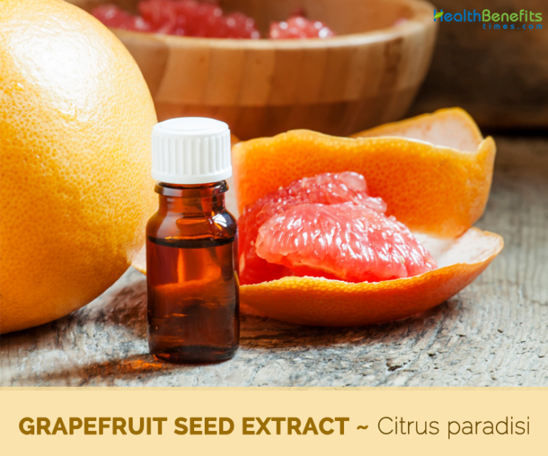 Grapefruit seed extract facts and health benefits
