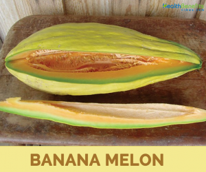 Facts about Banana melon