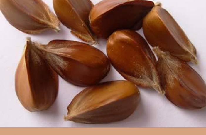 farley's reduced sugar rusks