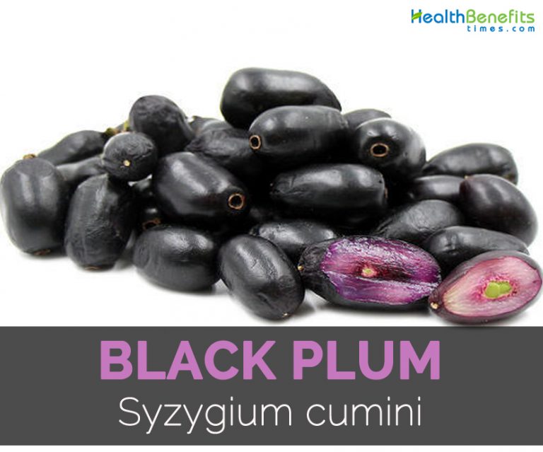Black Plum Facts, Health Benefits and Nutritional Value