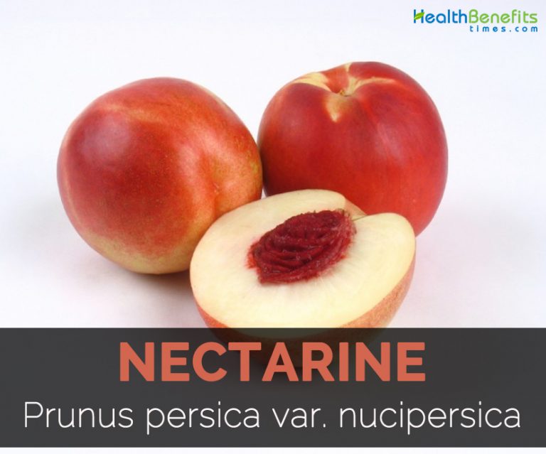 Nectarine Facts, Health Benefits and Nutritional Value