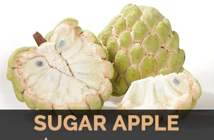 Sugar Apple Facts Health Benefits And Nutritional Value