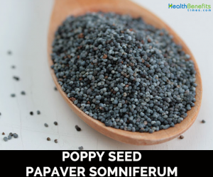Poppy seed benefits and nutrition