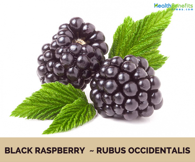 Black Raspberry facts and health benefits