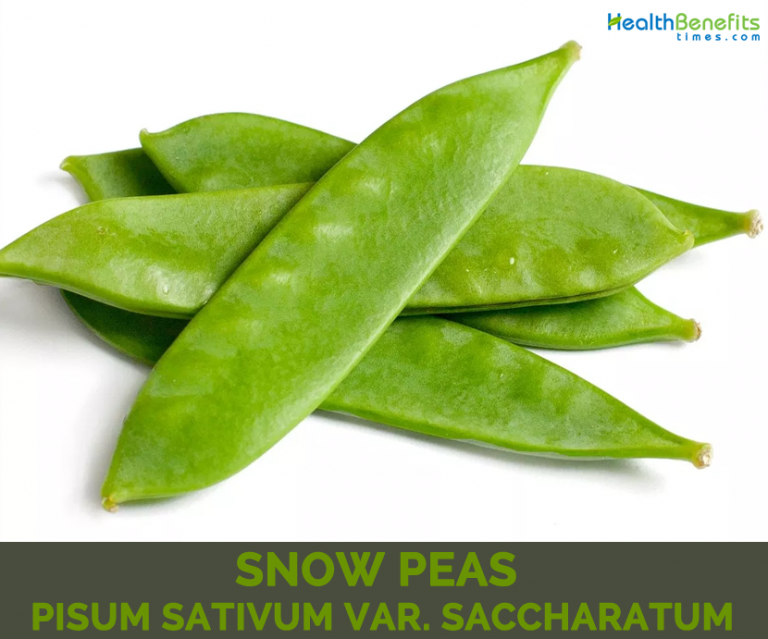 Snow Peas facts and health benefits