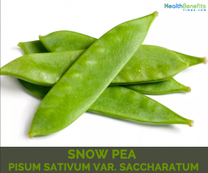 Health benefits of Snow Peas