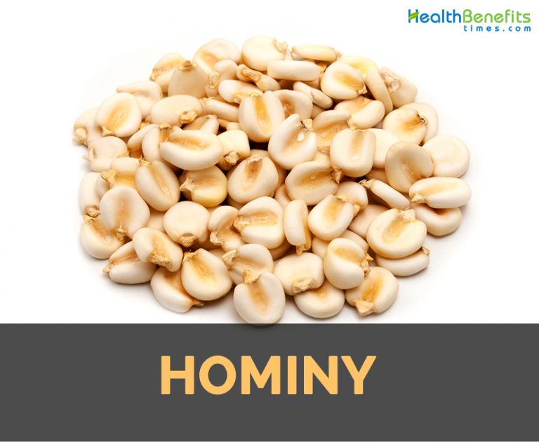 Hominy Facts, Health Benefits and Nutritional Value