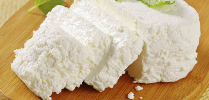 Ricotta cheese