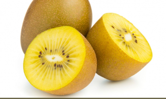 All about Golden Kiwi