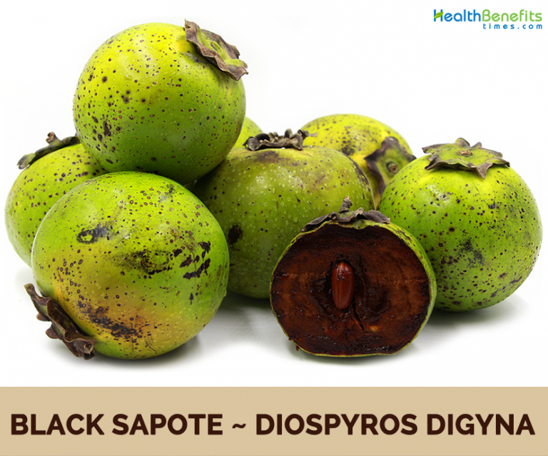 Black Sapote facts and health benefits