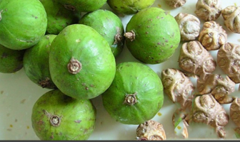 Know about Pacific Walnut