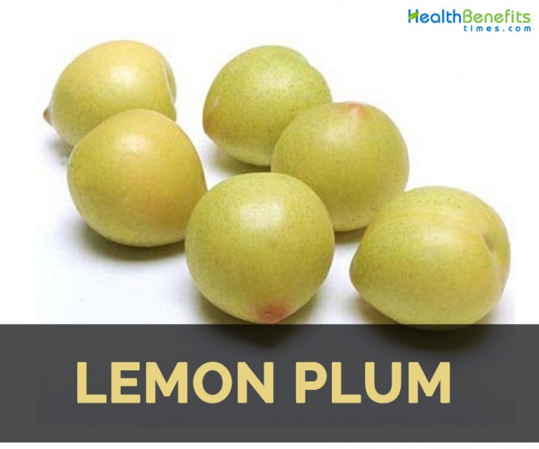 Lemon Plum Facts and Health Benefits