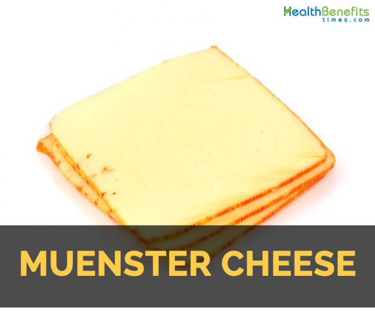 Muenster cheese Facts, Health Benefits & Nutritional Value