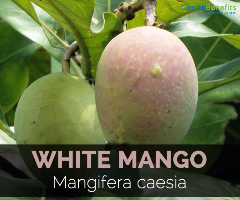 White mango - Health Benefits