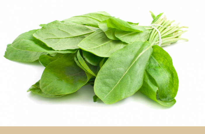 Sorrel Facts And Health Benefits