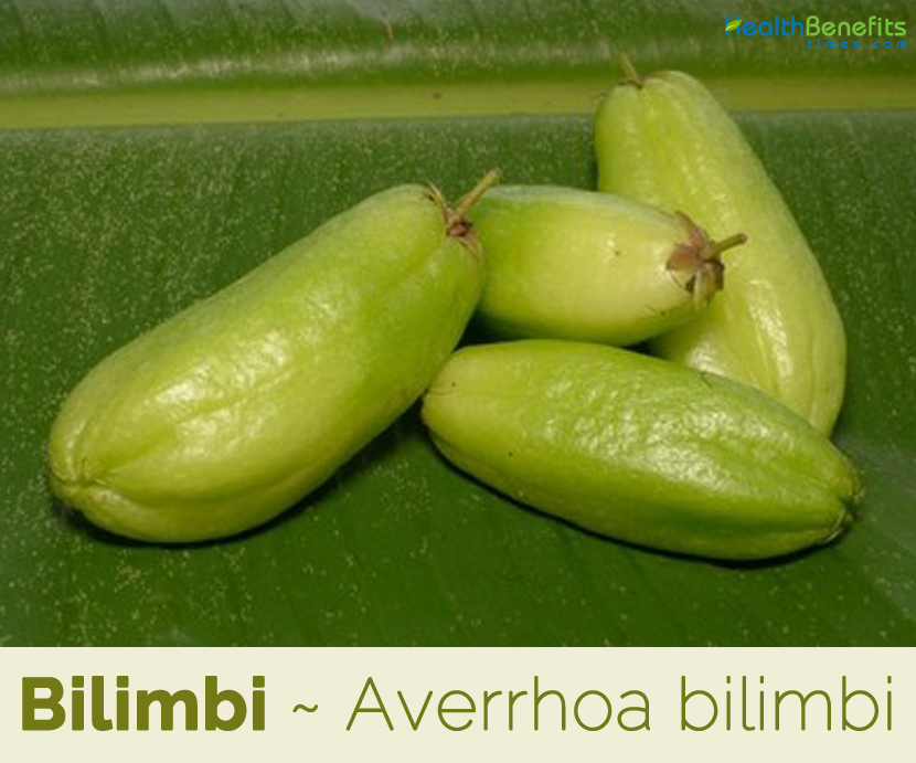 Bilimbi useful and healthy fruit
