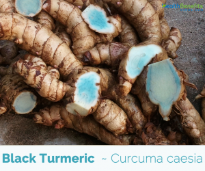 Black Turmeric medicinal benefits