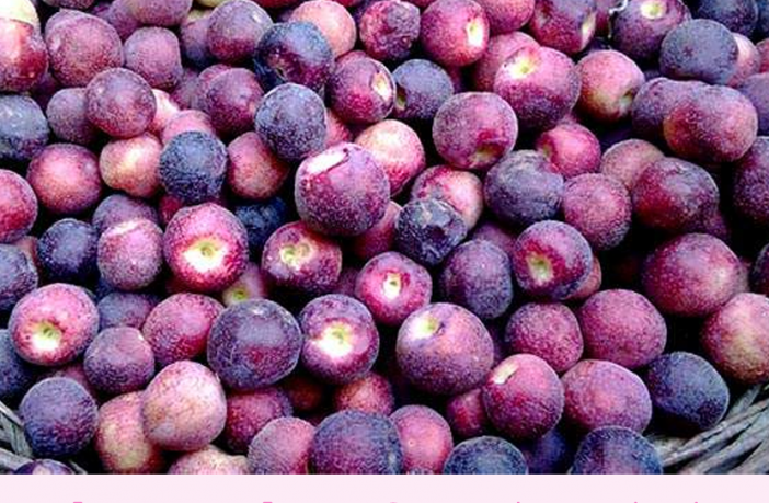 Falsa Fruit facts and health benefits