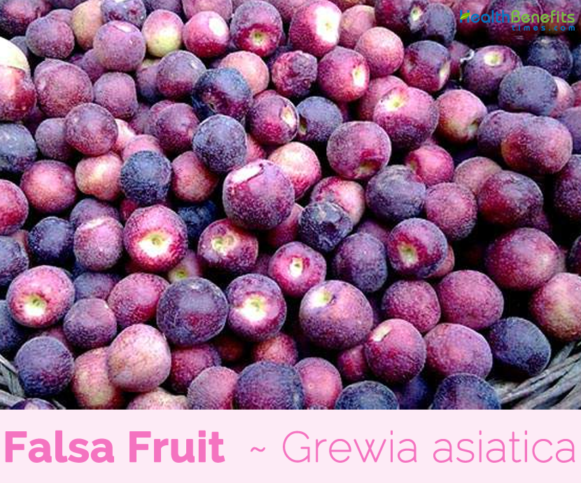 Falsa Fruit facts and benefits