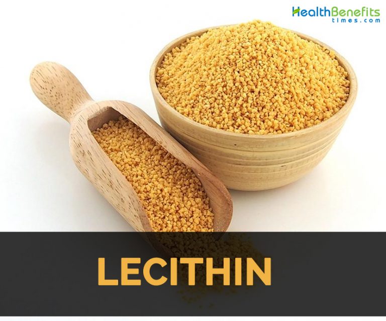 Lecithin Facts, Health Benefits and Nutritional Value