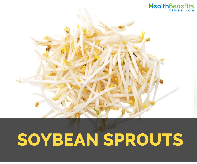 Soybean sprouts Fact, Health Benefits and Nutritional Value