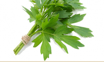 Health benefits of Lovage