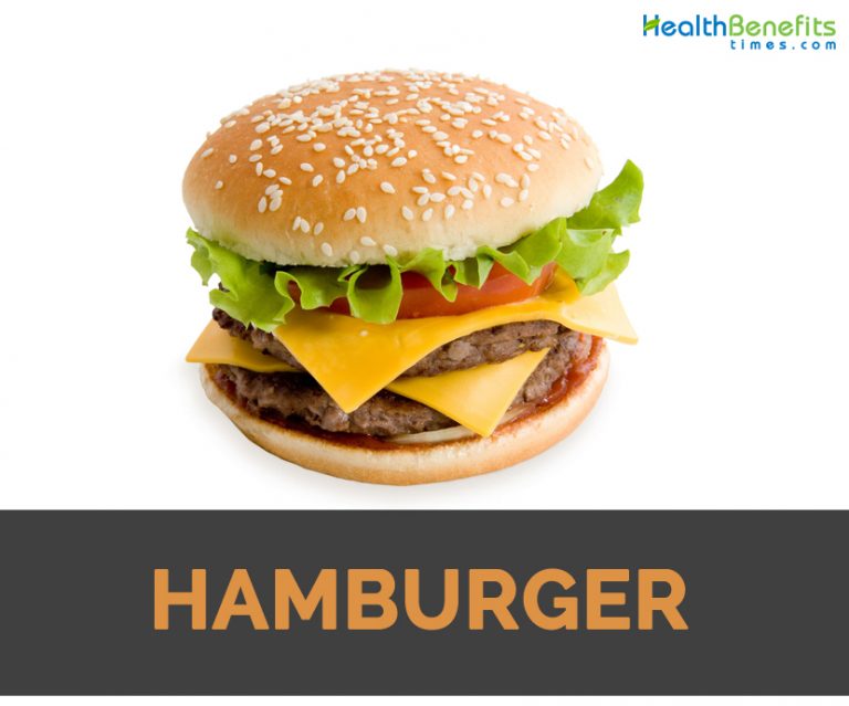 Hamburger Facts, Health Benefits and Nutritional Value