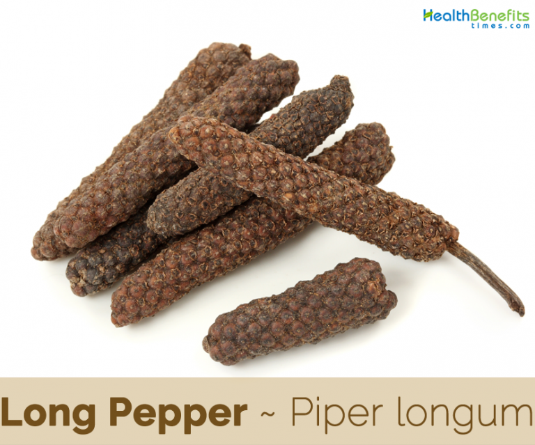 Long Pepper facts and health benefits