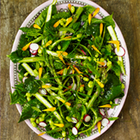 Sea beet and asparagus salad with baby broad beans and radish