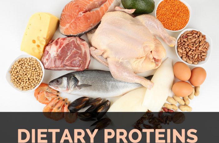 What are the Dietary Proteins?