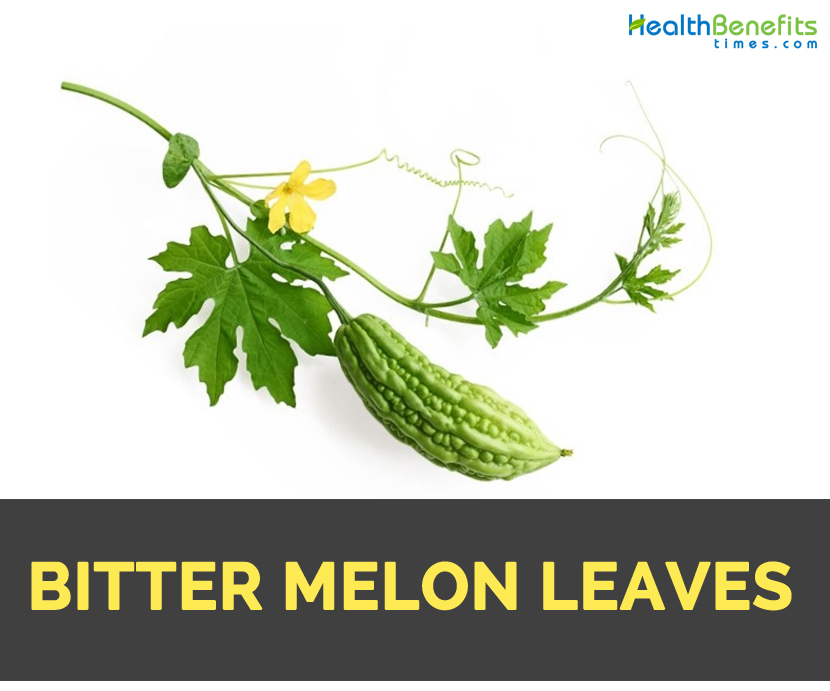 Bitter Melon Leaves Facts And Nutritional Value