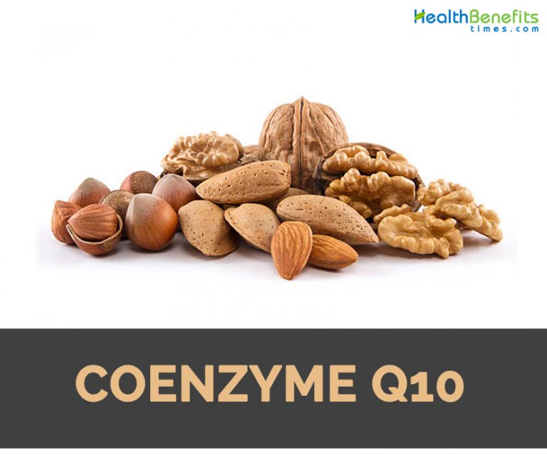 Coenzyme Q10 Facts and Health Benefits