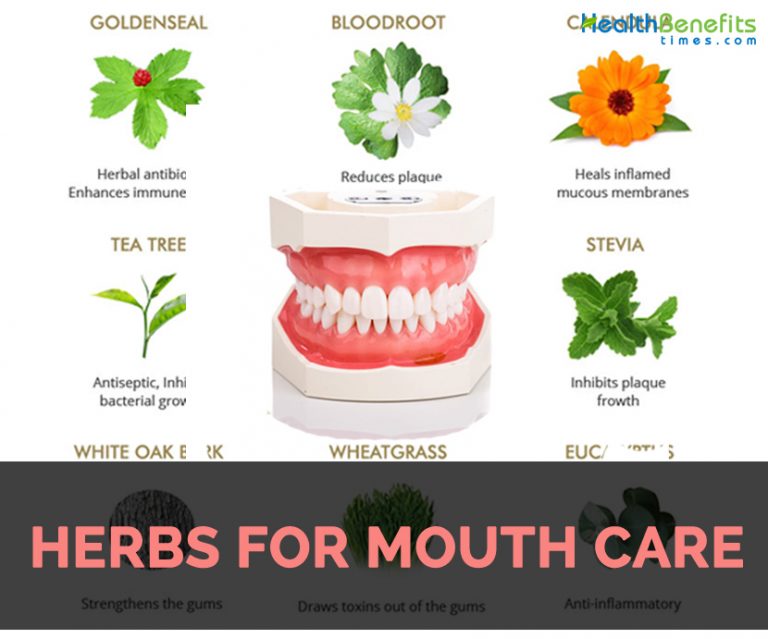 Useful herbs for Mouth and Teeth Care