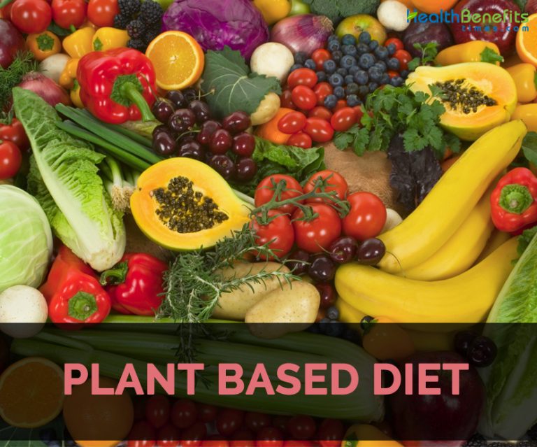 Health Benefits Of Eating Plant Based Diet